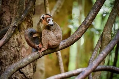 Jour 7 : Découverte des Tsingy de l'Ankarana