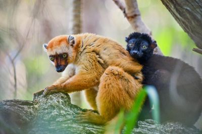 Jour 10 : Ambanja – Marovato