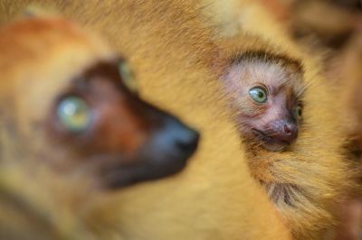 Jour 14 : Arrivée à Paris