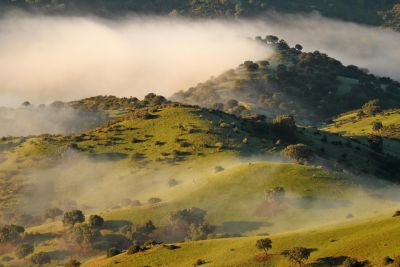 Jour 4 : En exploration à la rencontre des loups et des ours