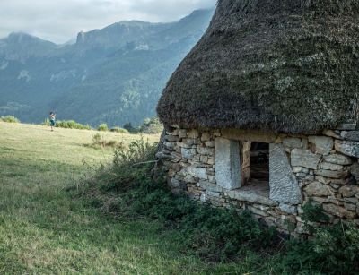 Jour 6  : A la recherche des ours.