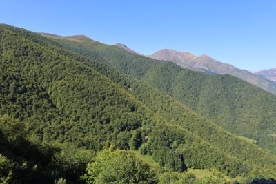 Jour 7 : Cangas de Onís