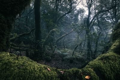 Jour 2 & 3 : Exploration de la partie nord de l'île