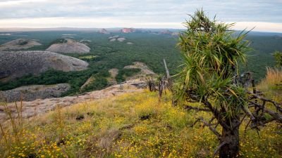 Jour 17: Kasanka - Mutinondo