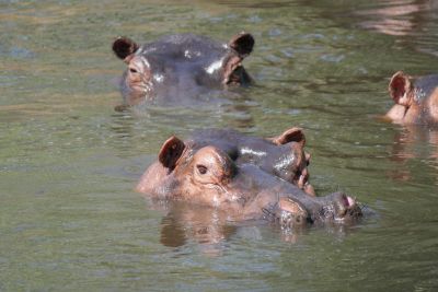 Jour 20: Mutinondo - Kabwe