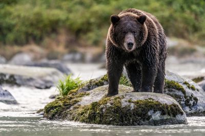 Jour 7 — Route vers l’Alaska et Haines