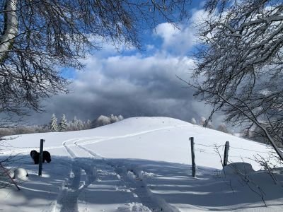 Jour 1 — Premiers pas dans le territoire des Monges