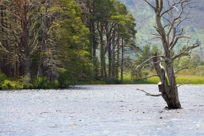 Loch Mallachie