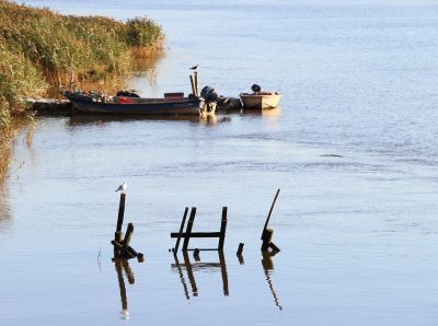 Bateaux sur le fleuve Sado