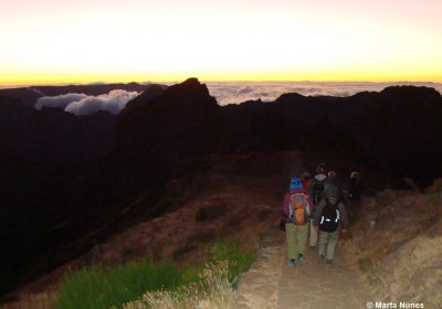Sortie nocturne à l'approche des Pétrels de Madère