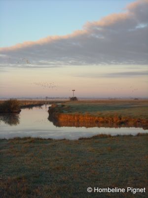 Séjour nature France - LPO initiation ornithologie - Pays de la Loire, Marais Poitevin, Réserve Saint Denis - Ombeline Pignet