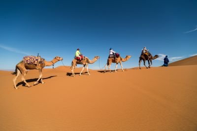 Caravanne de dromadaire dans le désert
