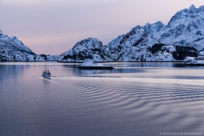 Jour 8 : Retour pour la France