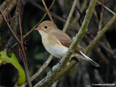 Jour 5: Stang Korz - Kadoran