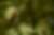 Madagascar