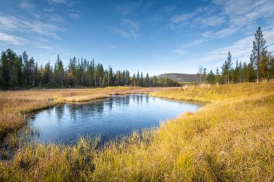 Jour 7 : Randonnée sur un sommet du Parc National
