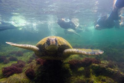 © Sylvain Lefebvre - Equateur Equateur