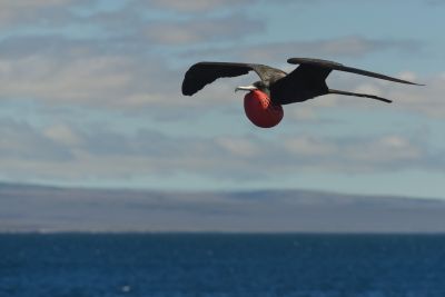 © Sylvain Lefebvre - Equateur Equateur