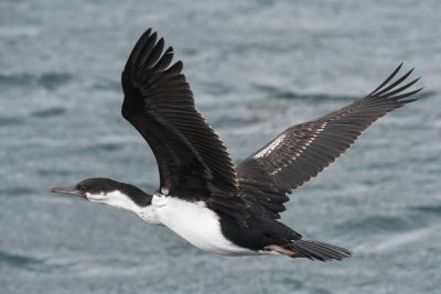 © Sylvain Lefebvre - Patagonie Patagonie