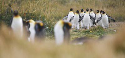 © Sylvain Lefebvre - Patagonie Patagonie