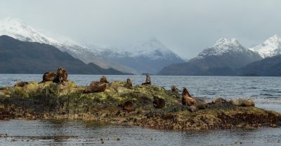 © Sylvain Lefebvre - Patagonie Patagonie