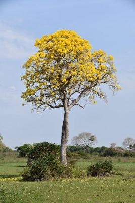 CIRCUITS EN  AOUT - SEPTEMBRE et OCTOBRE :  Merci de nous consulter pour les descriptifs jour par jour de ces départs.