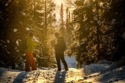© Nicolas FRAGIACOMO - Balade en raquettes dans la forêt boréale de Laponie Balade en raquettes dans la forêt boréale de Laponie