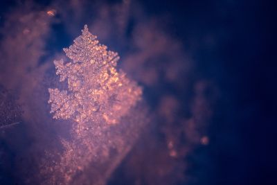 © Nicolas FRAGIACOMO - Marco photo givre Laponie aurores boréales Marco photo givre Laponie aurores boréales