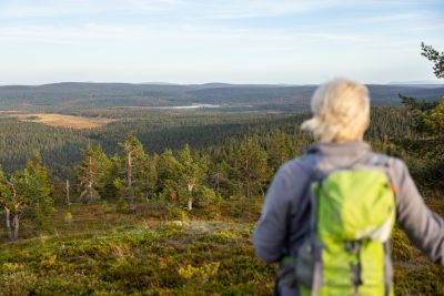 Jour 4 : Randonnée dans le Parc National Pallas Yllästunturi