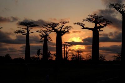 Jour 16 : IFATY - TULEAR - ANTANANARIVO