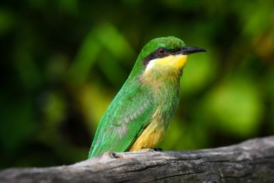 Jour 5 : randonnée communautaire ou farniente ?