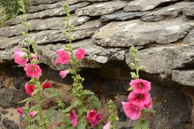 Jour 2 - Au pays des 5 sucs