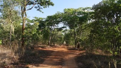 Jour 12: Kafue - Lusaka