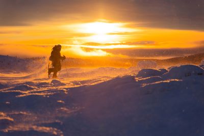 Jour 6 : Parc national de Pallas-Yllästunturi