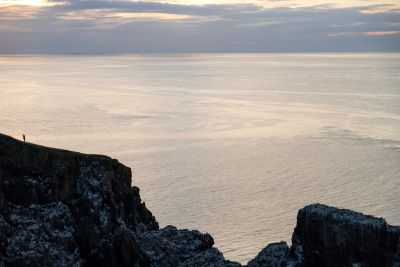 Falaises de St Abbs Head