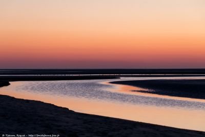 Baie de Somme en hiver