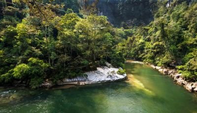 Jour 2:  Bogota - Rio Claro