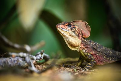 Jour 7: Cap vers El Valle.