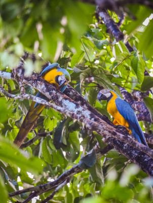 Jour 8:  El  Almejal et ses environs
