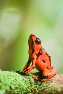 Jour 9: Fleuve Tundo - Mont Cuchillo