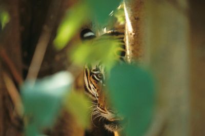 Jour 1 – Vol international depuis la France – vol de nuit.