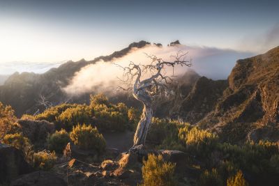 Jour 2 à 4 : Exploration de l'Est de l'île