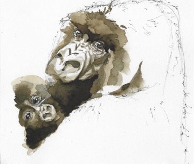 © Adeline Terpo - Jour 7: Programme à la carte (observation des gorilles, ascension d'un volcan, etc) Jour 7: Programme à la carte (observation des gorilles, ascension d'un volcan, etc)