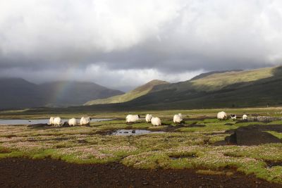 Jour 1 : Paris – Ecosse.