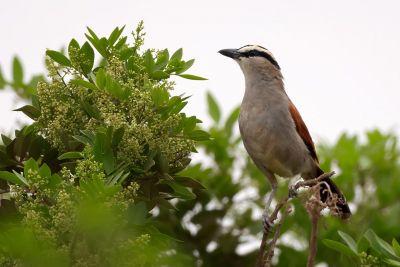 Jour 12 : Agadir - Haut atlas – Marrakech