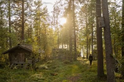Jour 5 : Randonnée et retour à l’hébergement Jour 5 : Randonnée et retour à l’hébergement