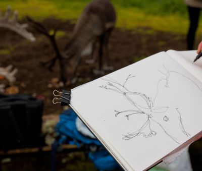 © Marie-Aure - Jour 6 : Rennes et traditions samíes Jour 6 : Rennes et traditions samíes