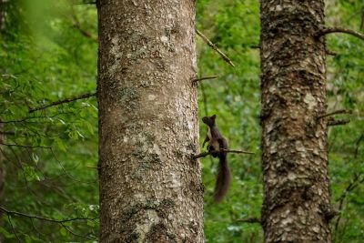 Jour 4 : Dernière traversée des secrets dévoilés et retour aux sources