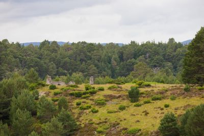 Ruines dans la forêt calédonienne d'Abernethy