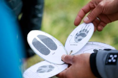 Tehniques de pistage - PNR Pyrénées Ariégeoises